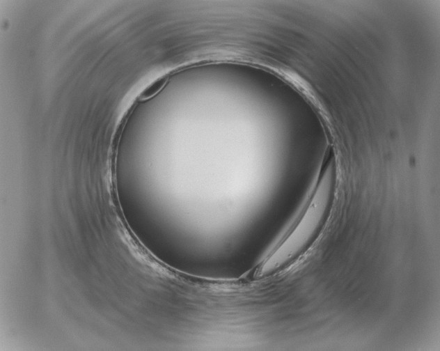 X0000052980904200507221324