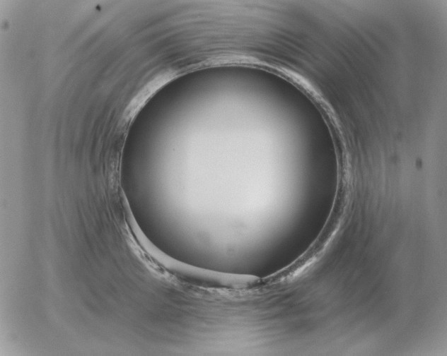 X0000052980905200507221324