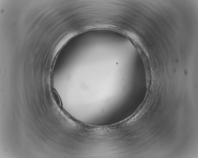 X0000052980906200507221324