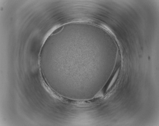 X0000052980907200507221324