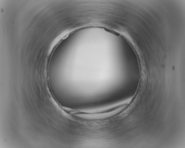 X0000052980910200507221324