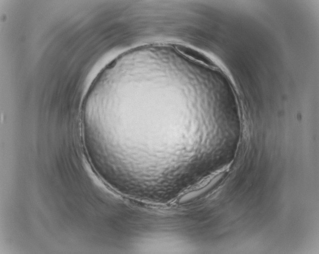 X0000052980911200507221324