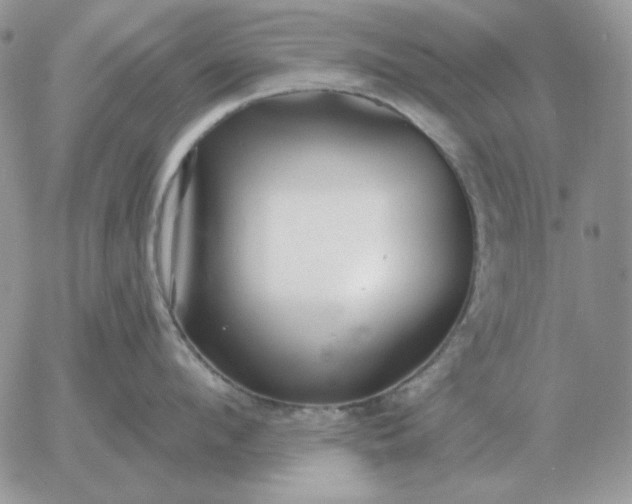 X0000052980912200507221324