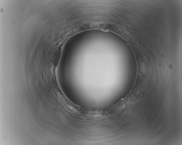 X0000052980914200507221323