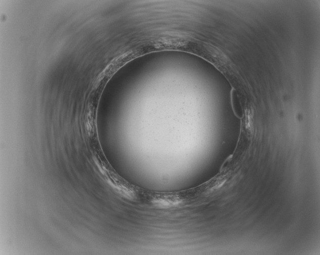 X0000052980915200507221323