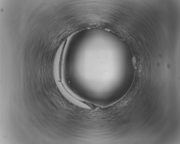 X0000052980916200507221323