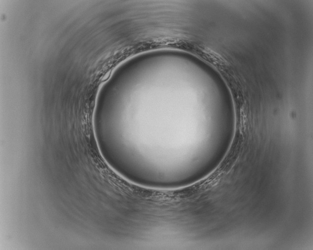 X0000052980917200507221323