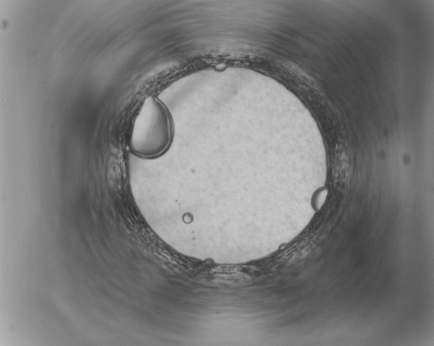 X0000052980918200507221323