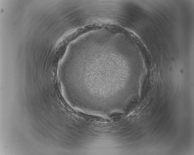 X0000052980919200507221324