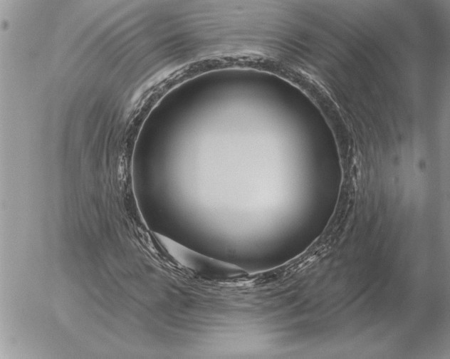 X0000052980920200507221324