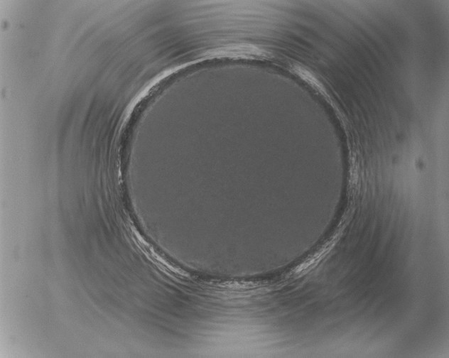 X0000052980923200507221324