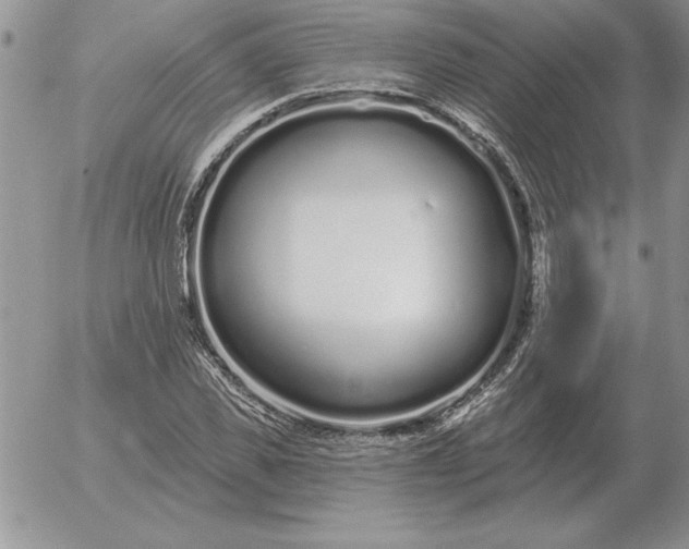 X0000052980925200507221324