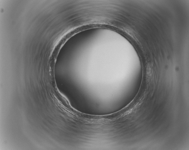 X0000052980926200507221324