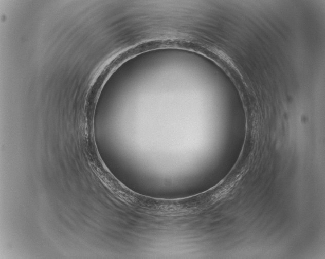 X0000052980927200507221324