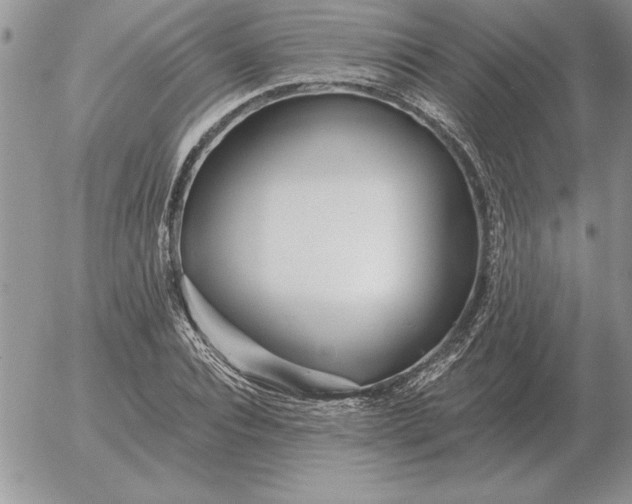 X0000052980928200507221324