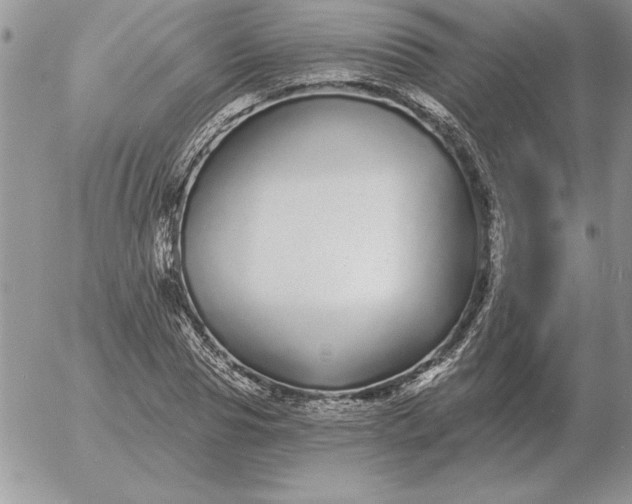 X0000052980929200507221324