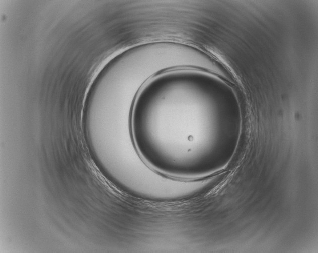 X0000052980932200507221324