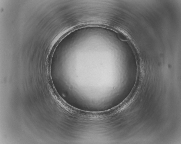 X0000052980933200507221324