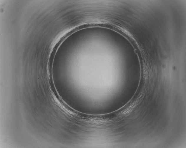 X0000052980935200507221324