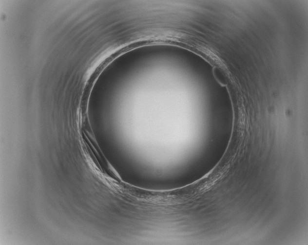 X0000052980936200507221324