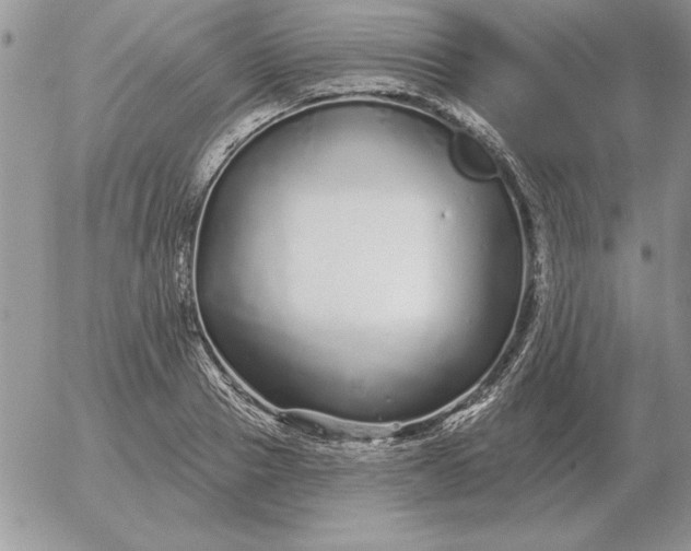 X0000052980937200507221324