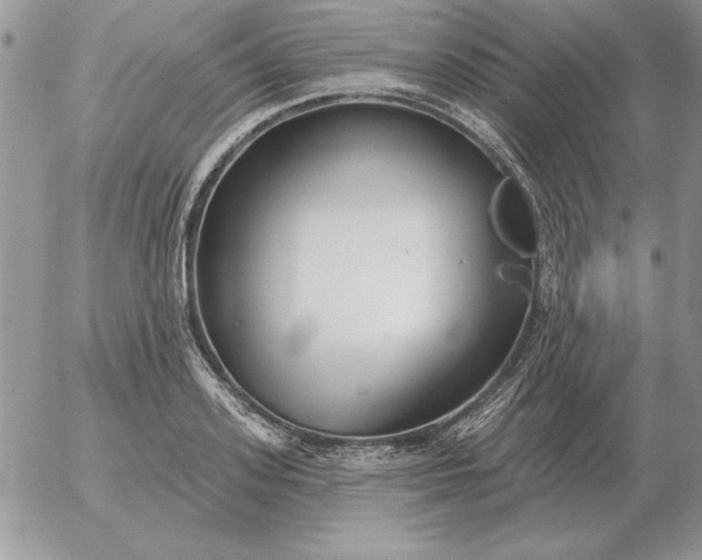 X0000052980939200507221324