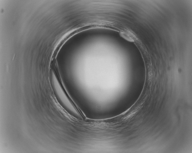 X0000052980940200507221324