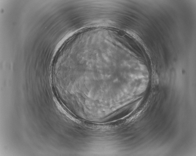 X0000052980941200507221324