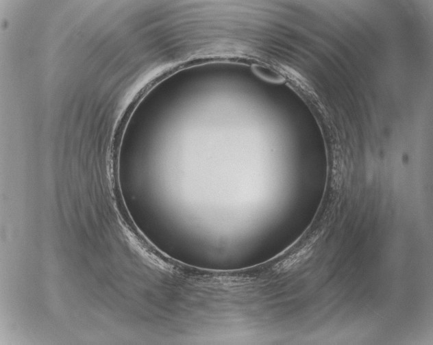 X0000052980942200507221324