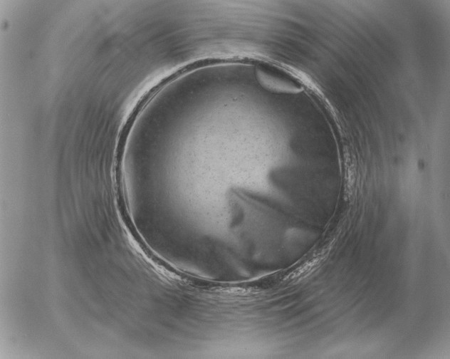 X0000052980943200507221324