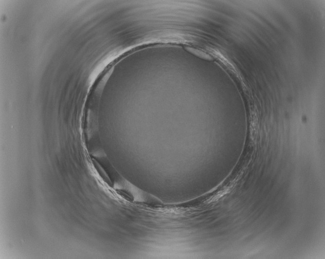 X0000052980944200507221324