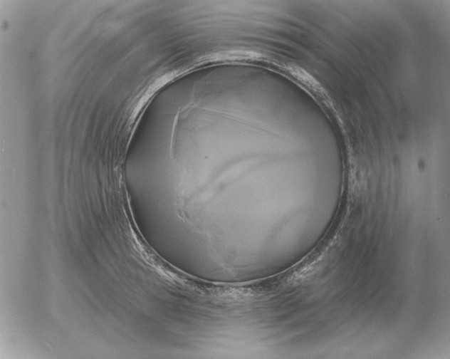 X0000052980945200507221324