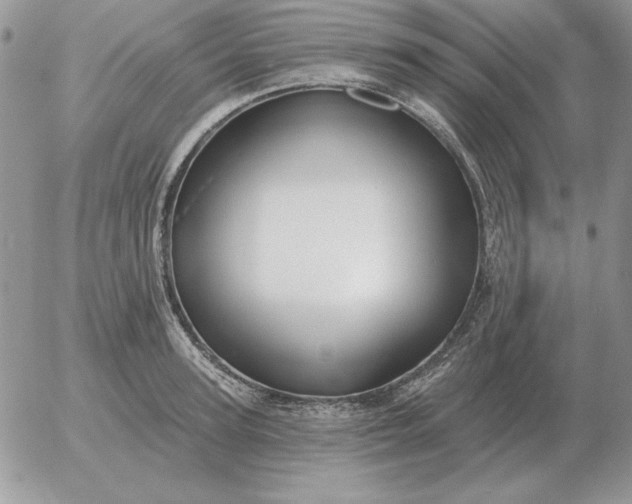 X0000052980947200507221324