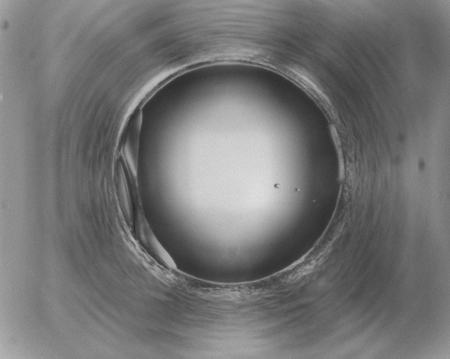 X0000052980948200507221324