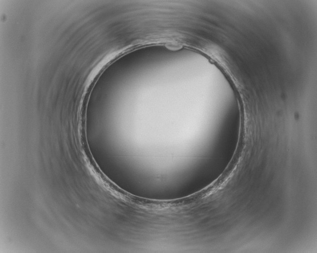 X0000052980949200507221324