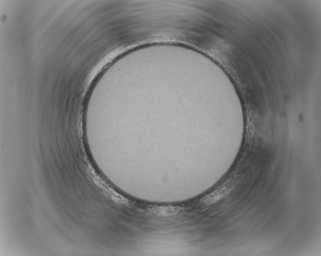 X0000052980950200507221324