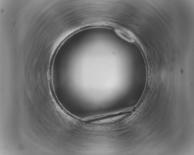 X0000052980951200507221324