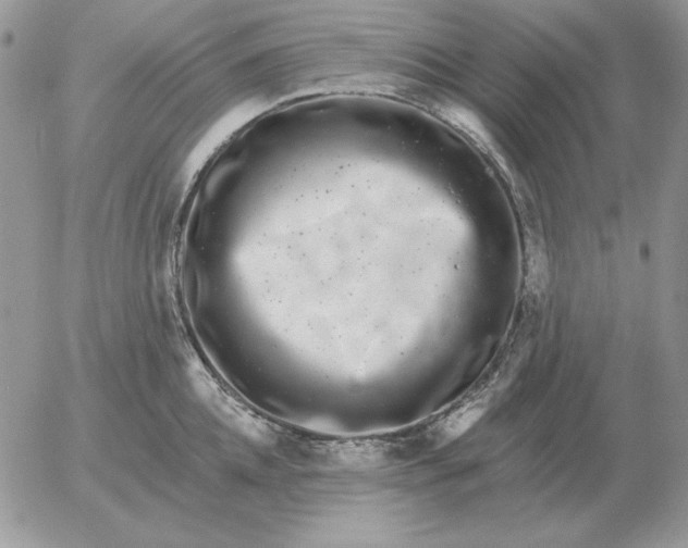 X0000052980952200507221324