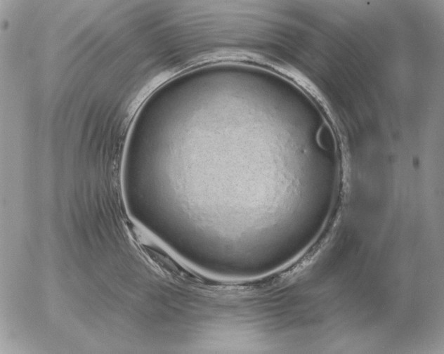 X0000052980953200507221324