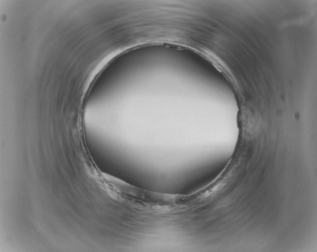 X0000052980956200507221324