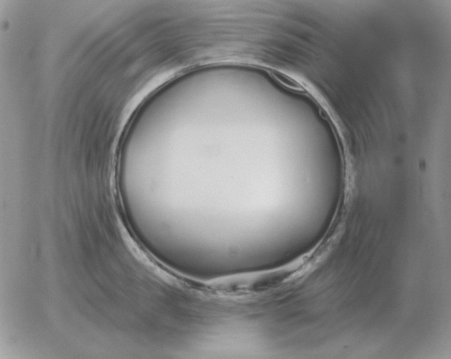 X0000052980957200507221324