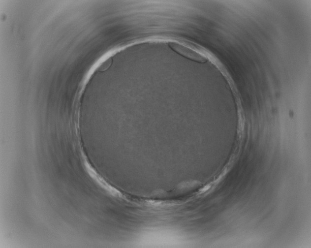 X0000052980958200507221324