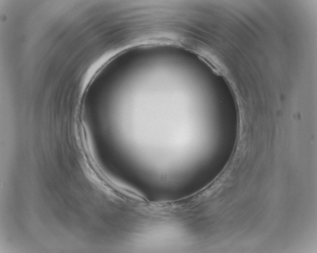 X0000052980960200507221324