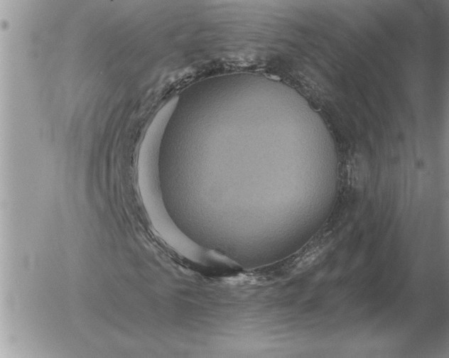 X0000052980961200507221323