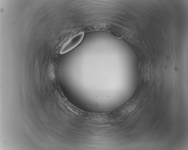 X0000052980962200507221323