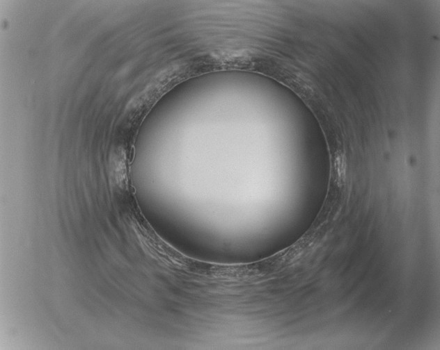 X0000052980963200507221323