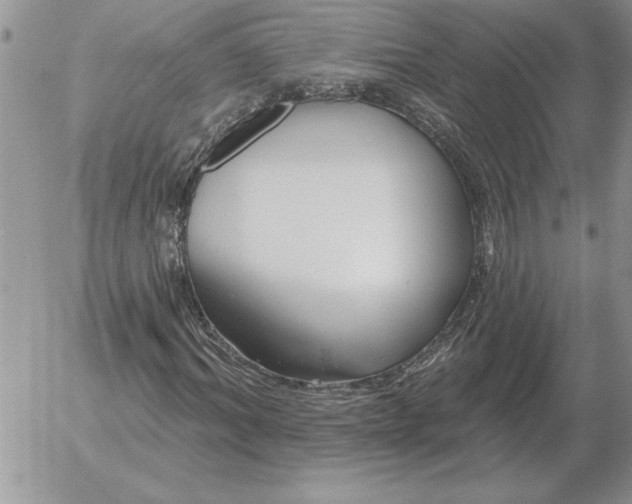 X0000052980964200507221323