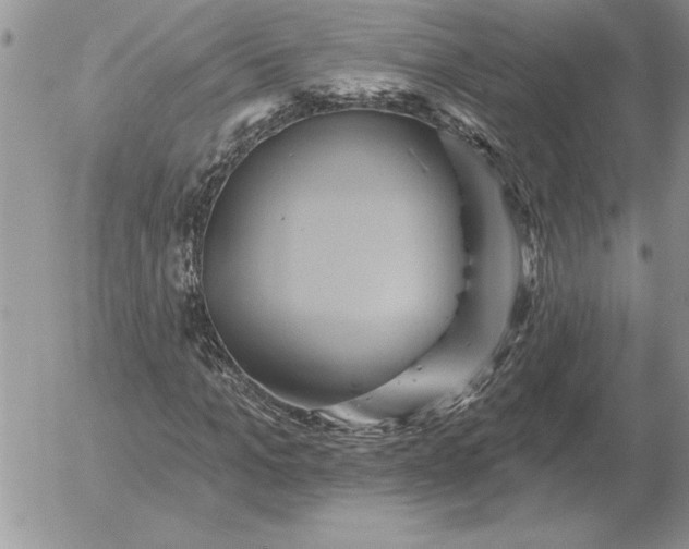 X0000052980965200507221323