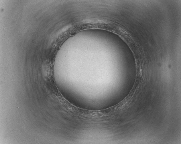 X0000052980966200507221323