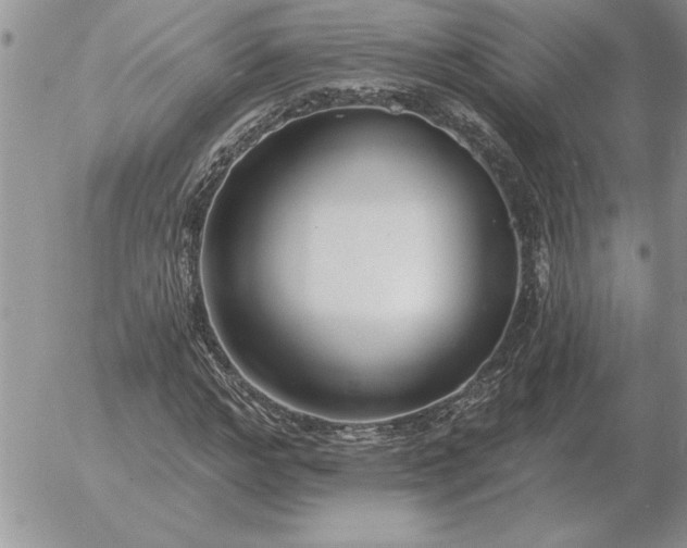 X0000052980968200507221323